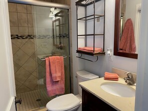 Shower, hair dryer, towels, soap - 5 Star Rated Estate on the water Heated Pool plenty of privacy almost 2 acres (Sarasota)
