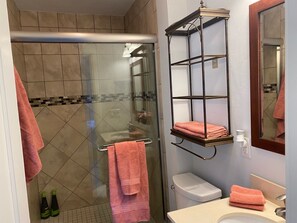 Shower, hair dryer, towels, soap - 5 Star Rated Estate on the water Heated Pool plenty of privacy almost 2 acres (Sarasota)