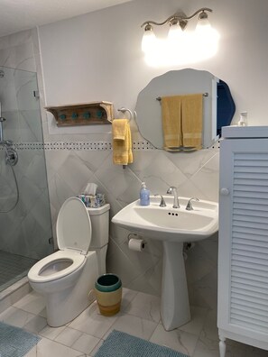 Shower, hair dryer, towels, soap - 5 Star Rated Estate on the water Heated Pool plenty of privacy almost 2 acres (Sarasota)