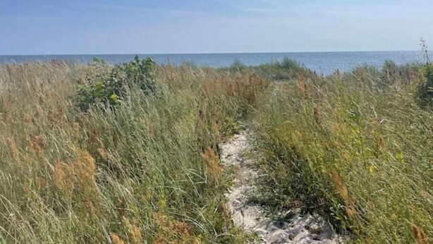 A coastal path with dense vegetation and a clear view of the sea. - Charming villa by the sea - sandy beach and sea view in Gislövs Location (Trell)