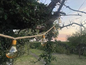 A tree with hanging light bulbs. - Charming villa by the sea - sandy beach and sea view in Gislövs Location (Trell)