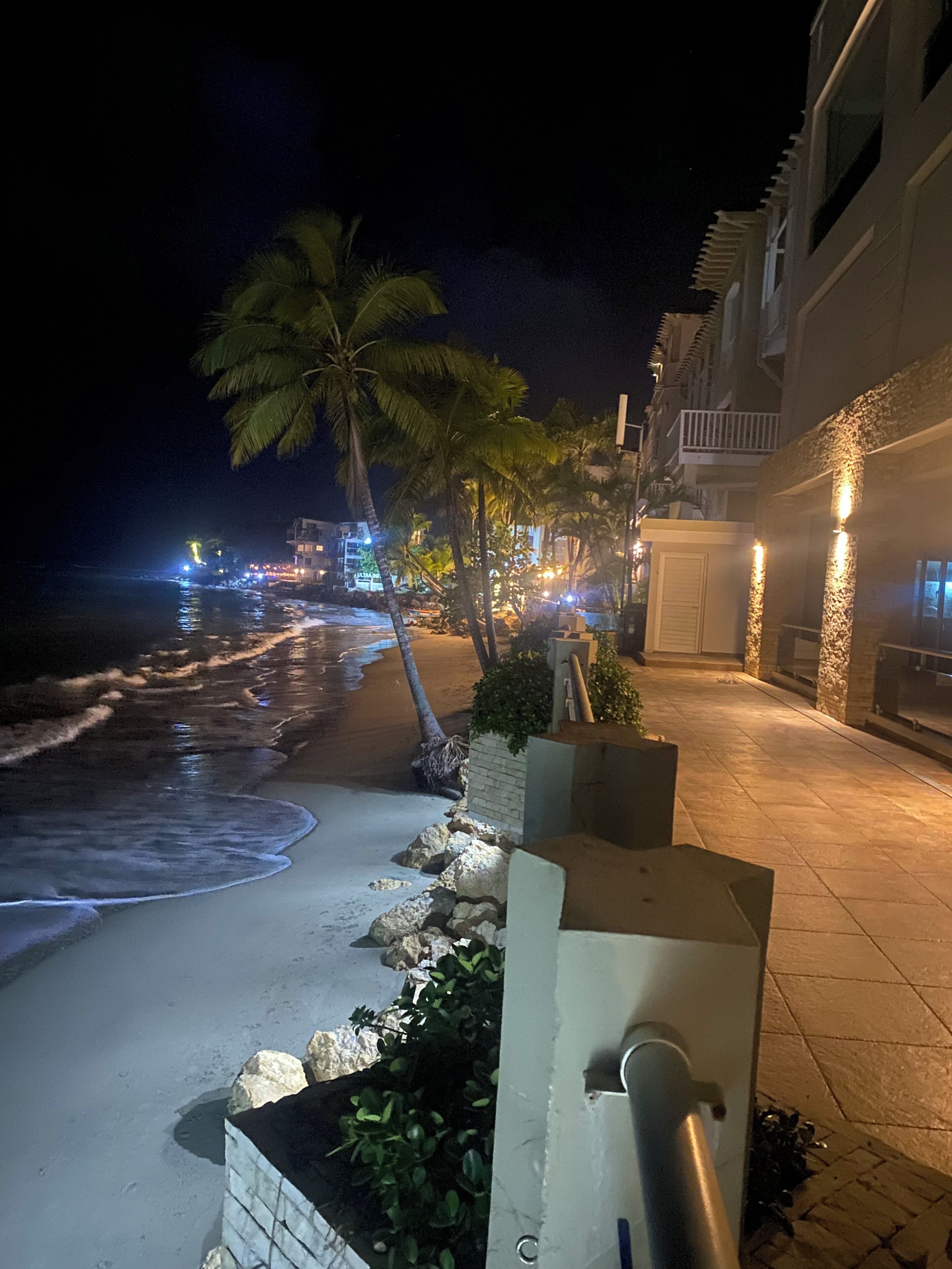 A nighttime beach scene with palm trees, a sandy shore, and a building with illuminated windows.