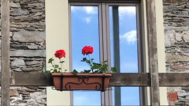 A stone wall with a window, a wooden beam, and a hanging planter with flowers.