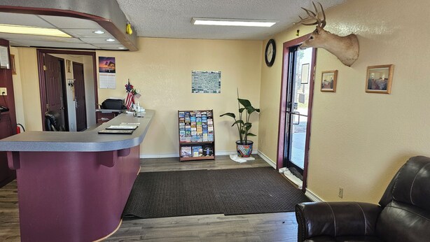 Una zona de recepción con un mostrador, un reloj, una planta y una decoración de cabeza de ciervo.