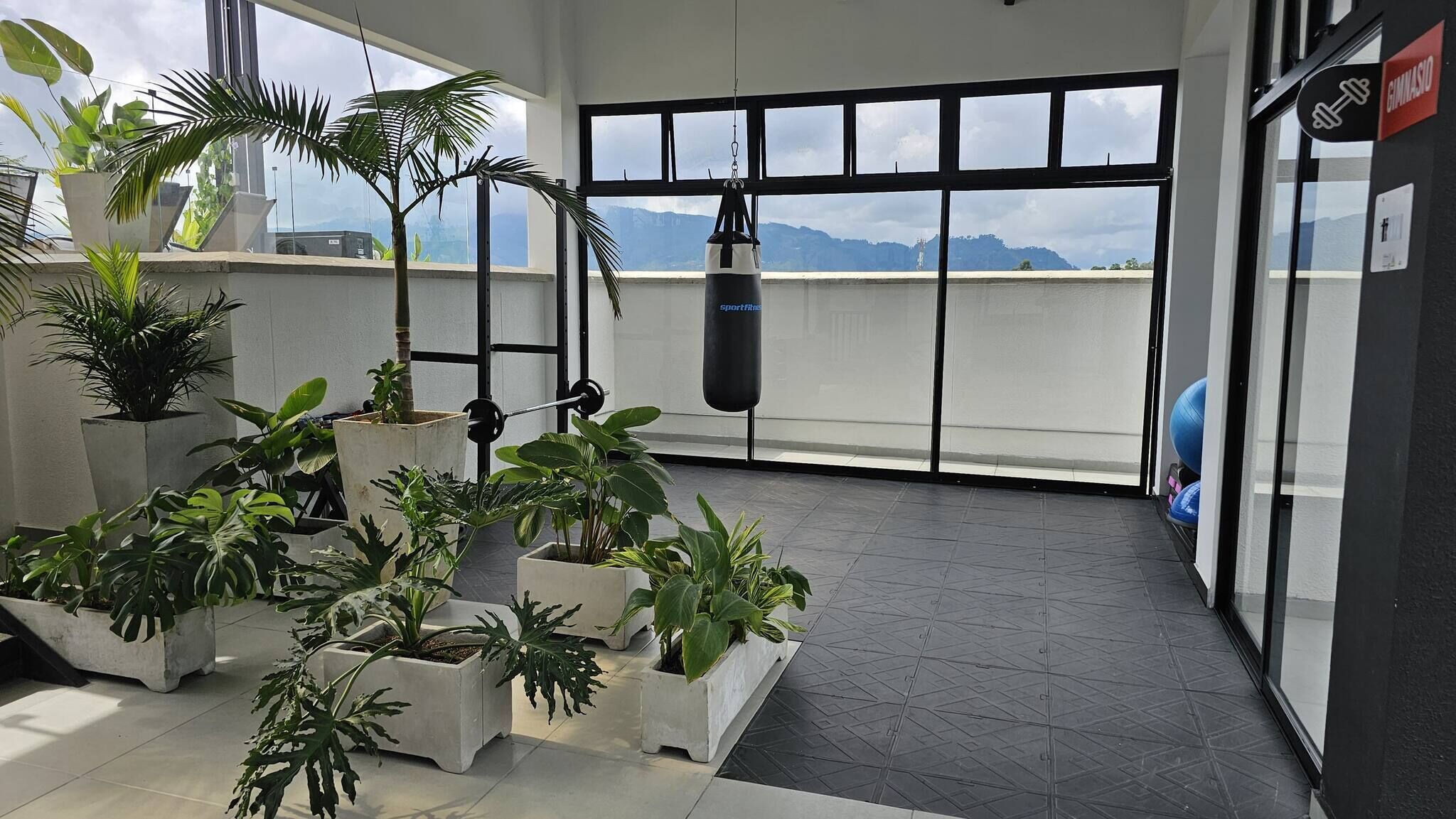 Un gimnasio con un saco de boxeo, plantas en macetas y vistas a montañas a través de amplios ventanales.