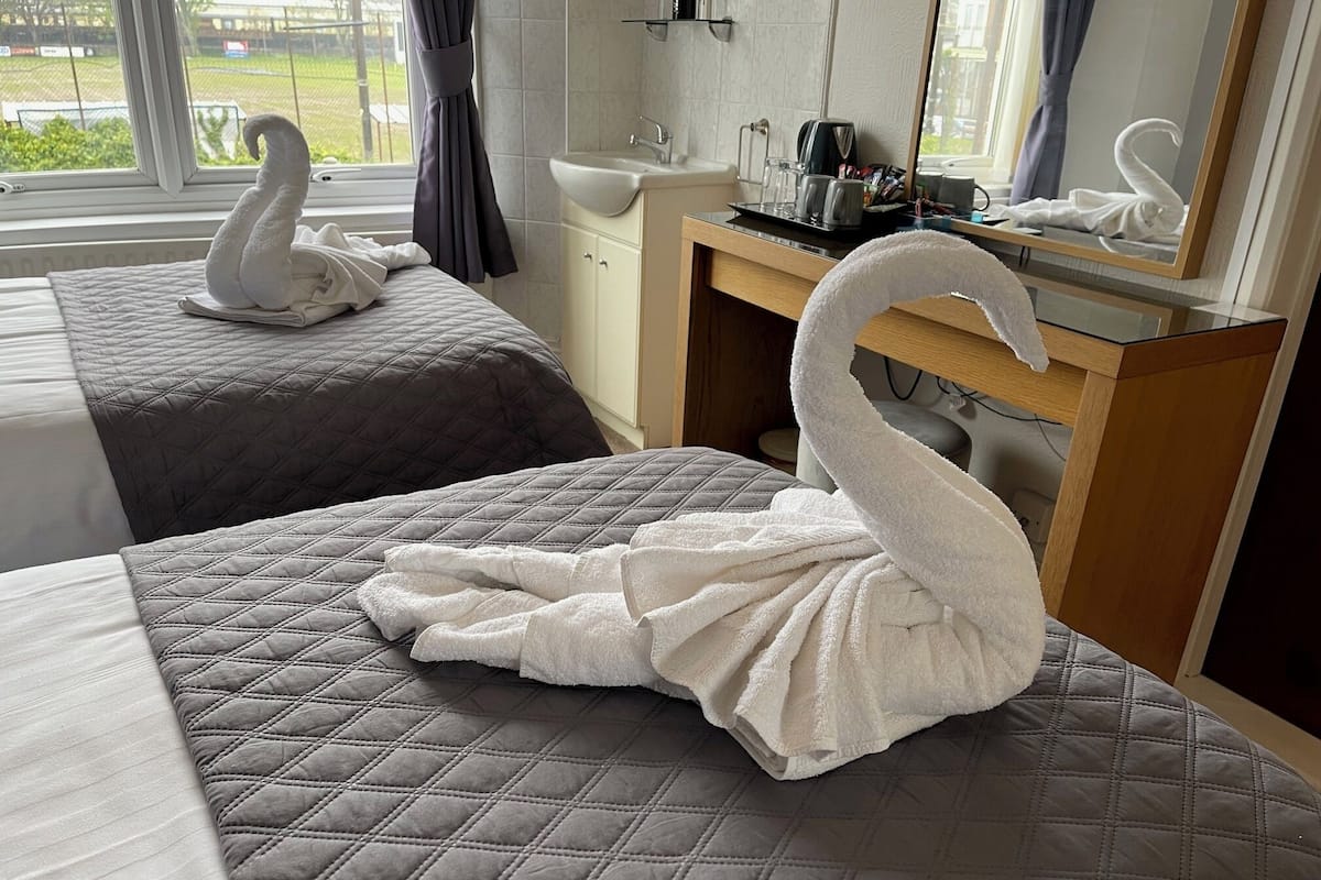 컴포트 더블룸 또는 트윈룸, 공원 전망