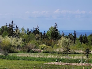 A natural landscape with trees and a view of the water. - Edelweiss Inn Nova Scotia (Middleton)