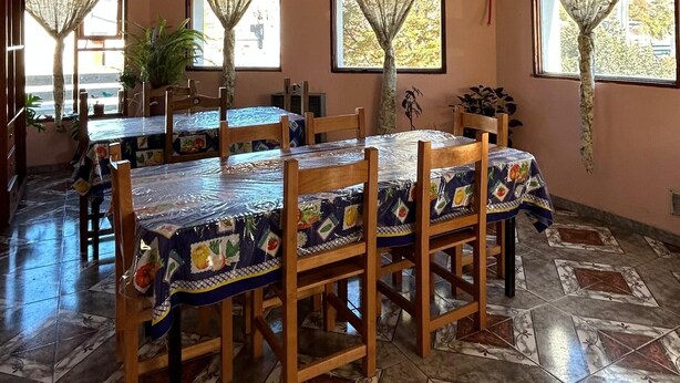 Un espace repas avec une longue table et des chaises, une plante en pot et une vue sur l’extérieur.