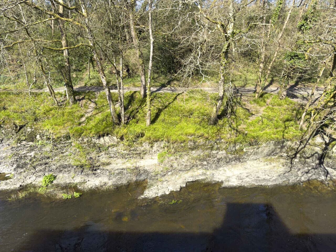A natural landscape with a river, trees, and a dirt path.