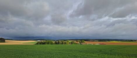 A vast green field with a cloudy sky.