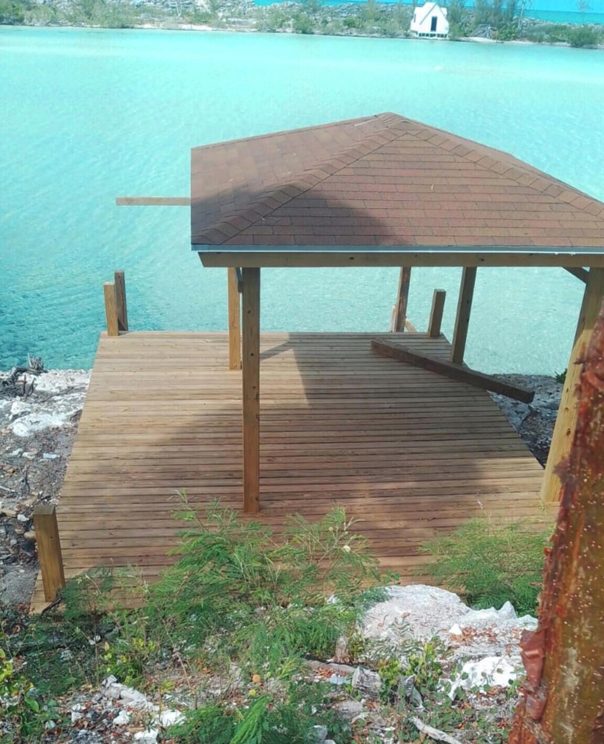 Imagen de perfil del propietario o de la propietaria