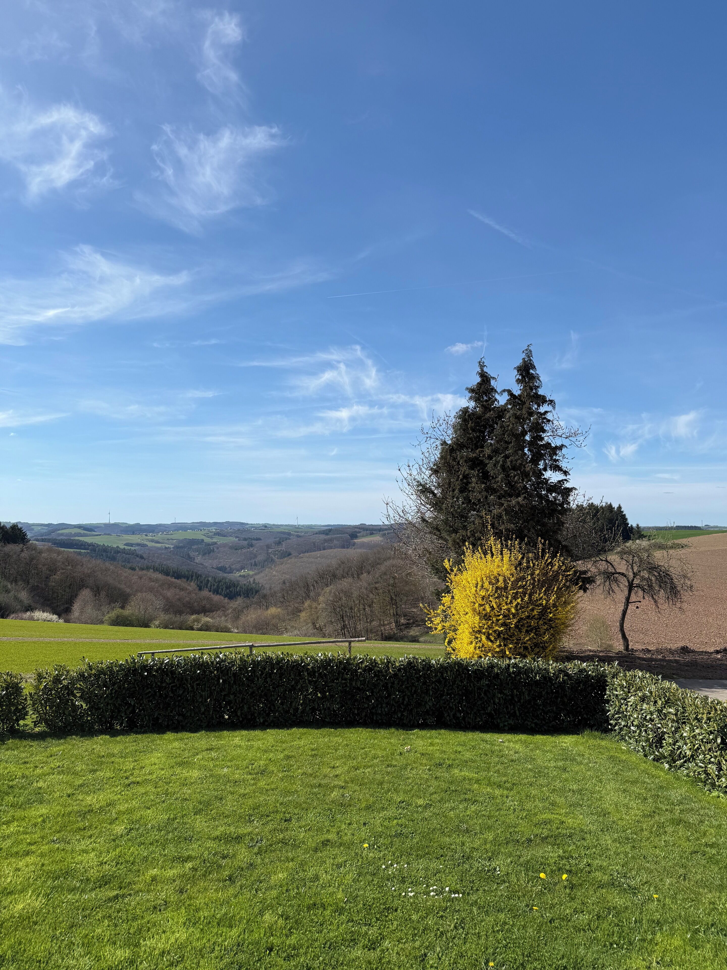 A rural landscape with a clear sky, green fields, and a tree with yellow leaves.