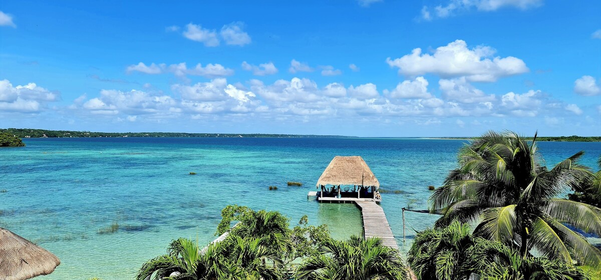 Imagen de perfil del propietario o de la propietaria