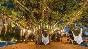 A tree with string lights and a hammock. - Boho Villa by Glam Homes (Miami)
