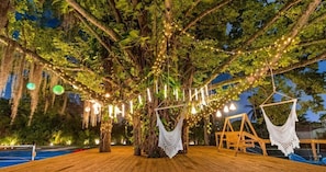 Comfort Villa | Property grounds