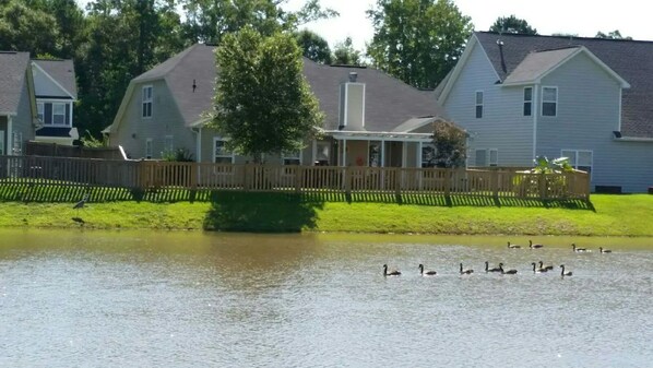 Exterior - Beautiful, WaterView, Spacious 5 Bd House with 2 car garage!!! (North Charleston)
