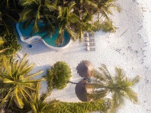 En vy över en strand från ovan, med en pool, palmer och solstolar.