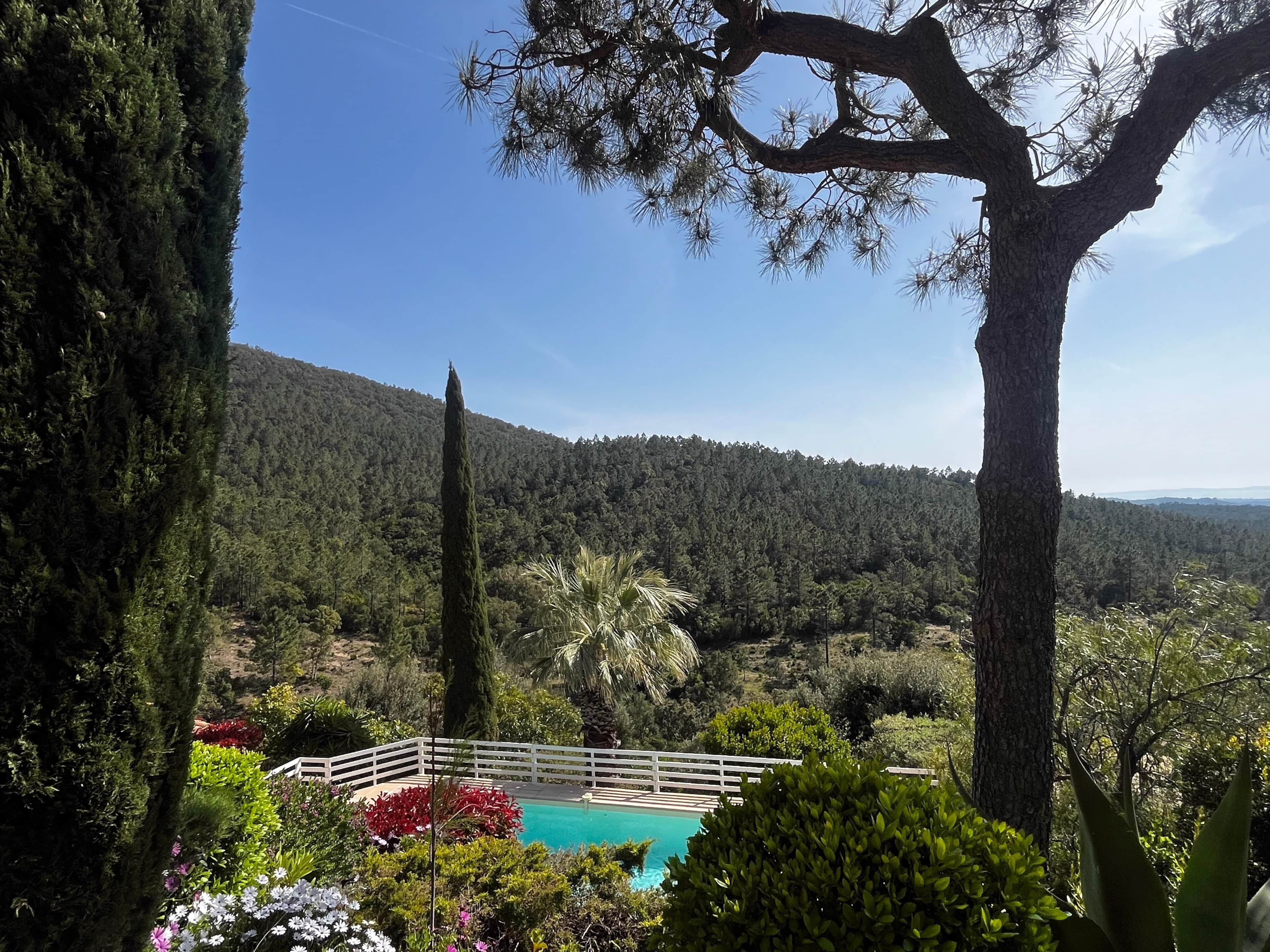 Une piscine entourée d’une végétation luxuriante, avec une chaîne de montagnes en toile de fond.