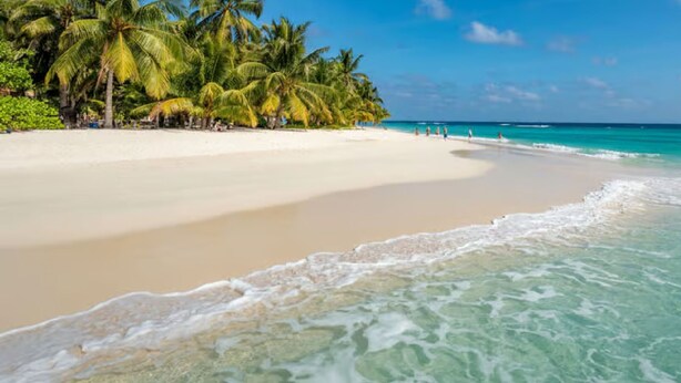 Ein Strand mit klarem türkisblauem Wasser, weißem Sand und Palmen.