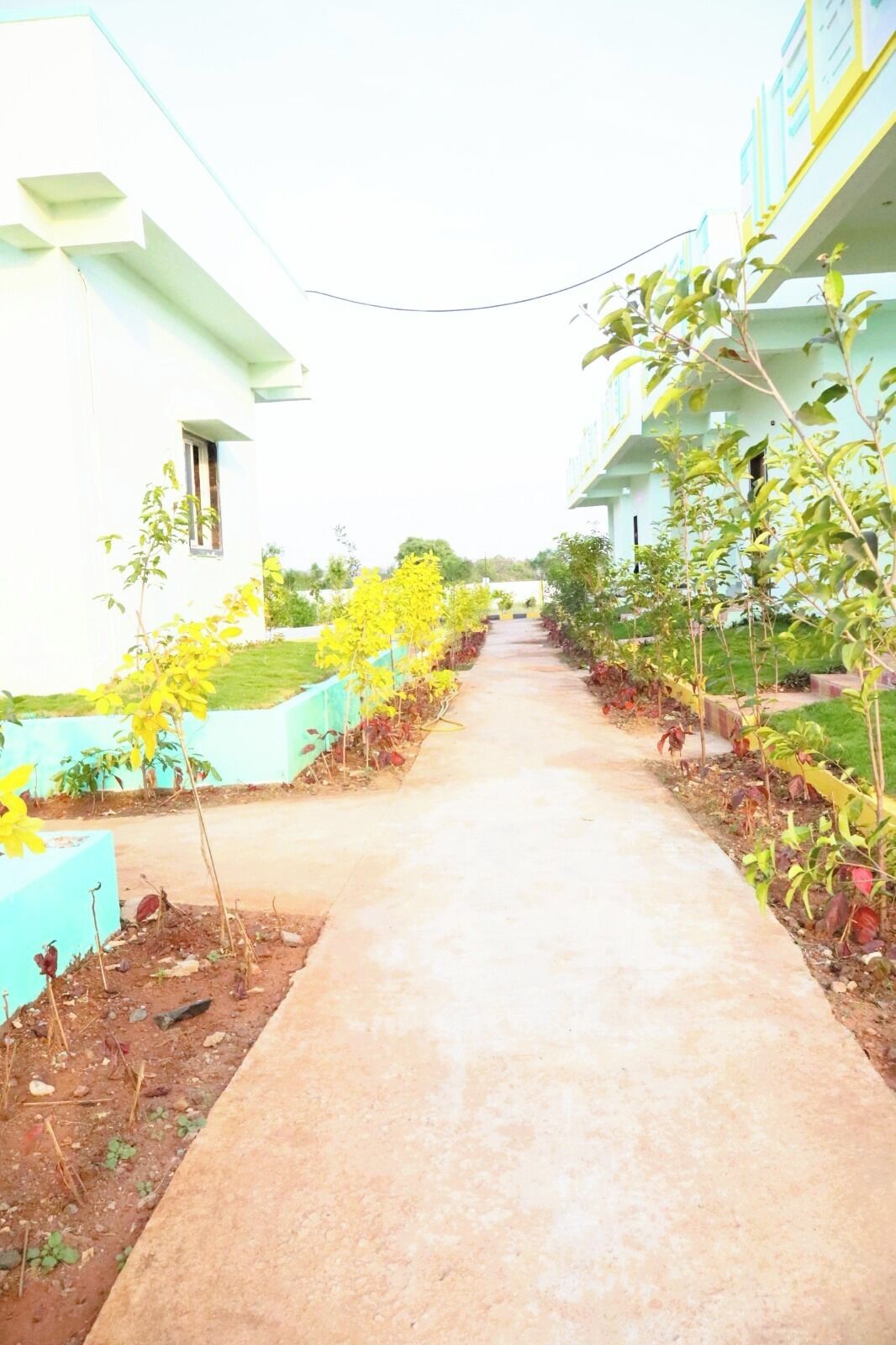 Khuôn viên nơi lưu trú