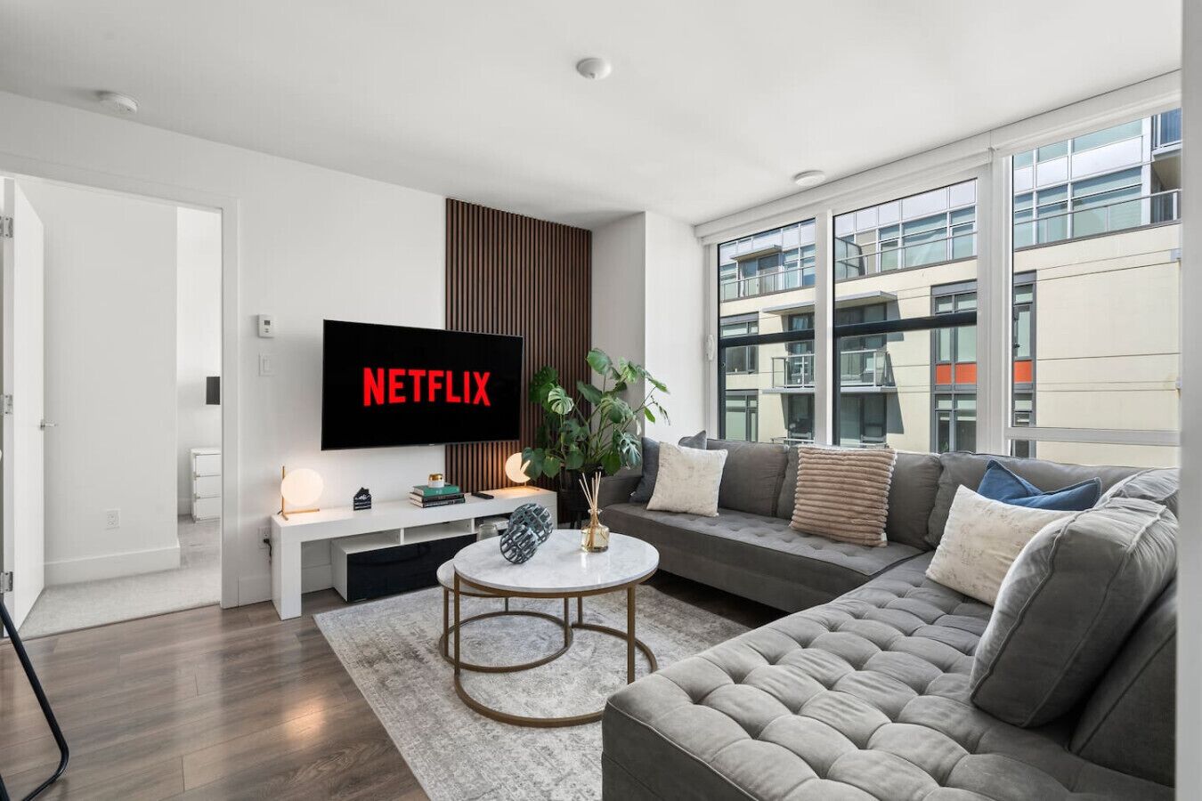 TV