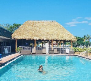 Pool - Bright Sarasota Studio, Pool + Waterfront + IMG, Minutes To Beaches (Sarasota)