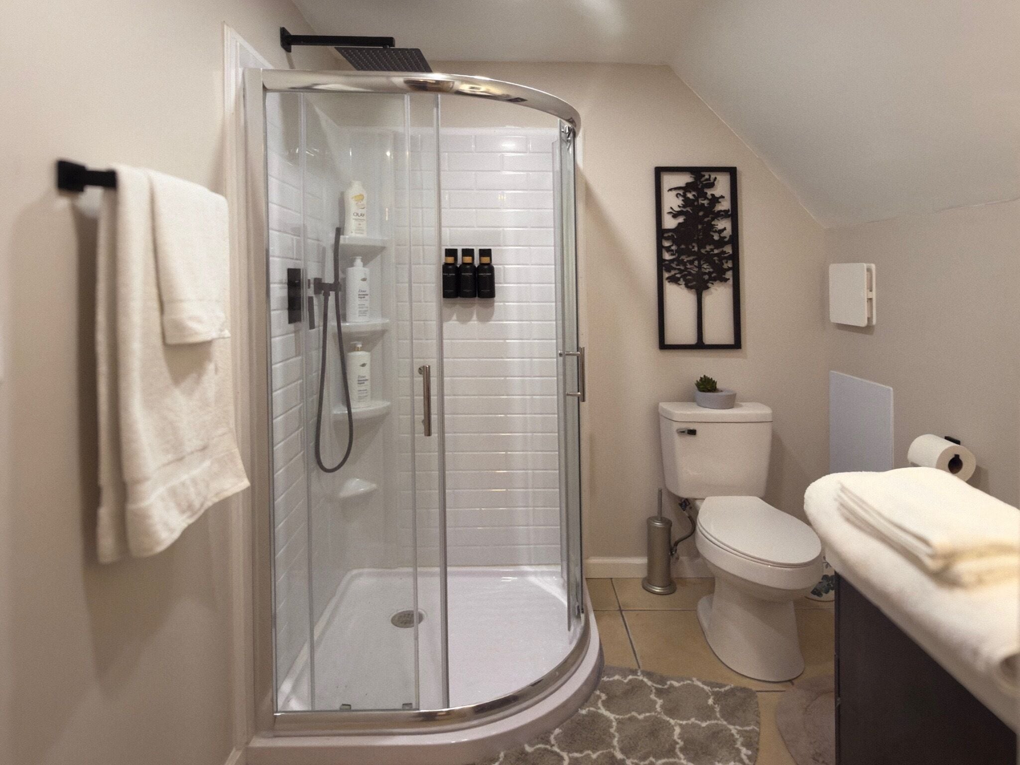Hair dryer, towels, soap, toilet paper