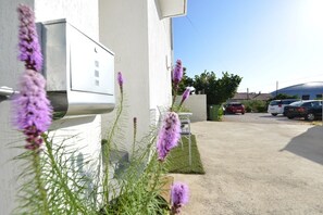 Property grounds - Kristijan Apartment Sleeps 3 With Garden (Zadar)