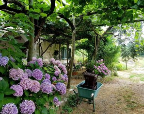 Jardines del alojamiento