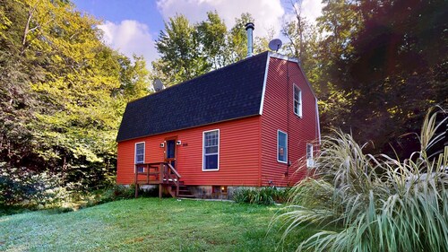 Real Estate: Therapy - Lake, Laundry, Love it