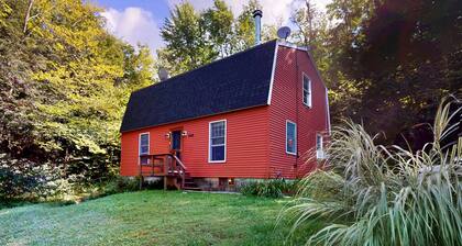 Real Estate: Therapy - Lake, Laundry, Love it