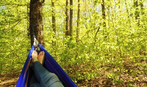 Miscellaneous - Real Estate: Therapy - Lake, Laundry, Love it (Becket)