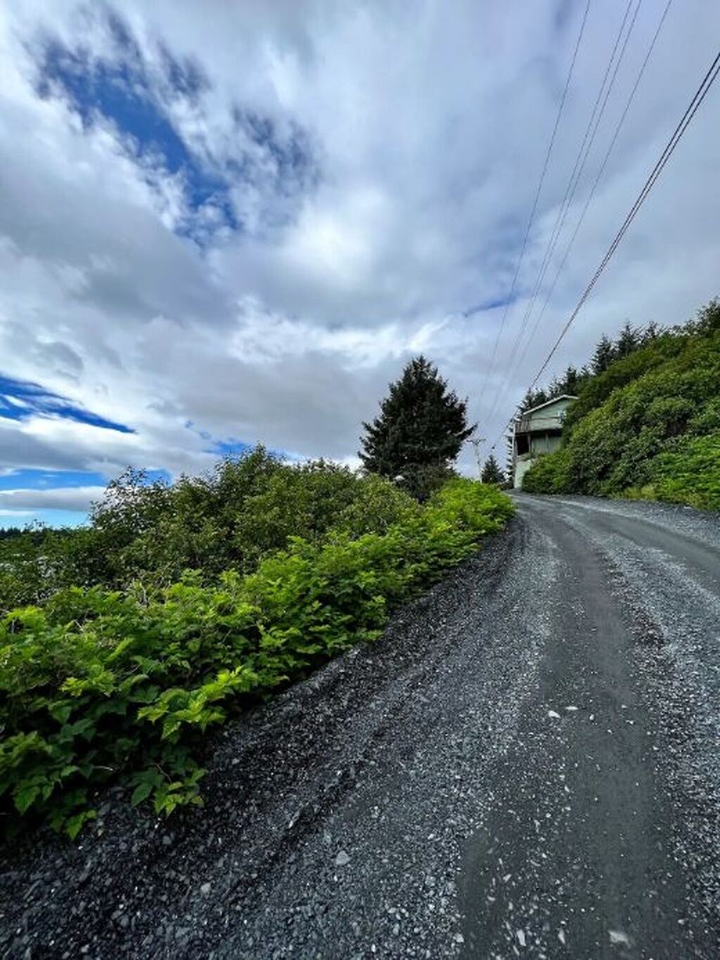 A gravel road with dense greenery on both sides, a clear sky, and a distant building.
