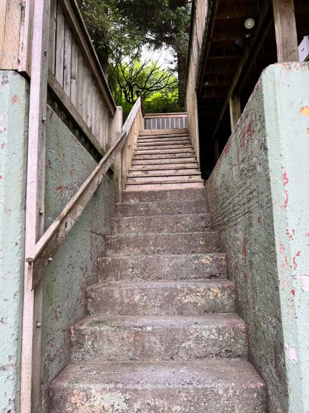 施設の敷地