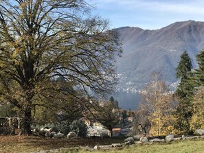 Miscellaneous - Vrbo Property (Molina)