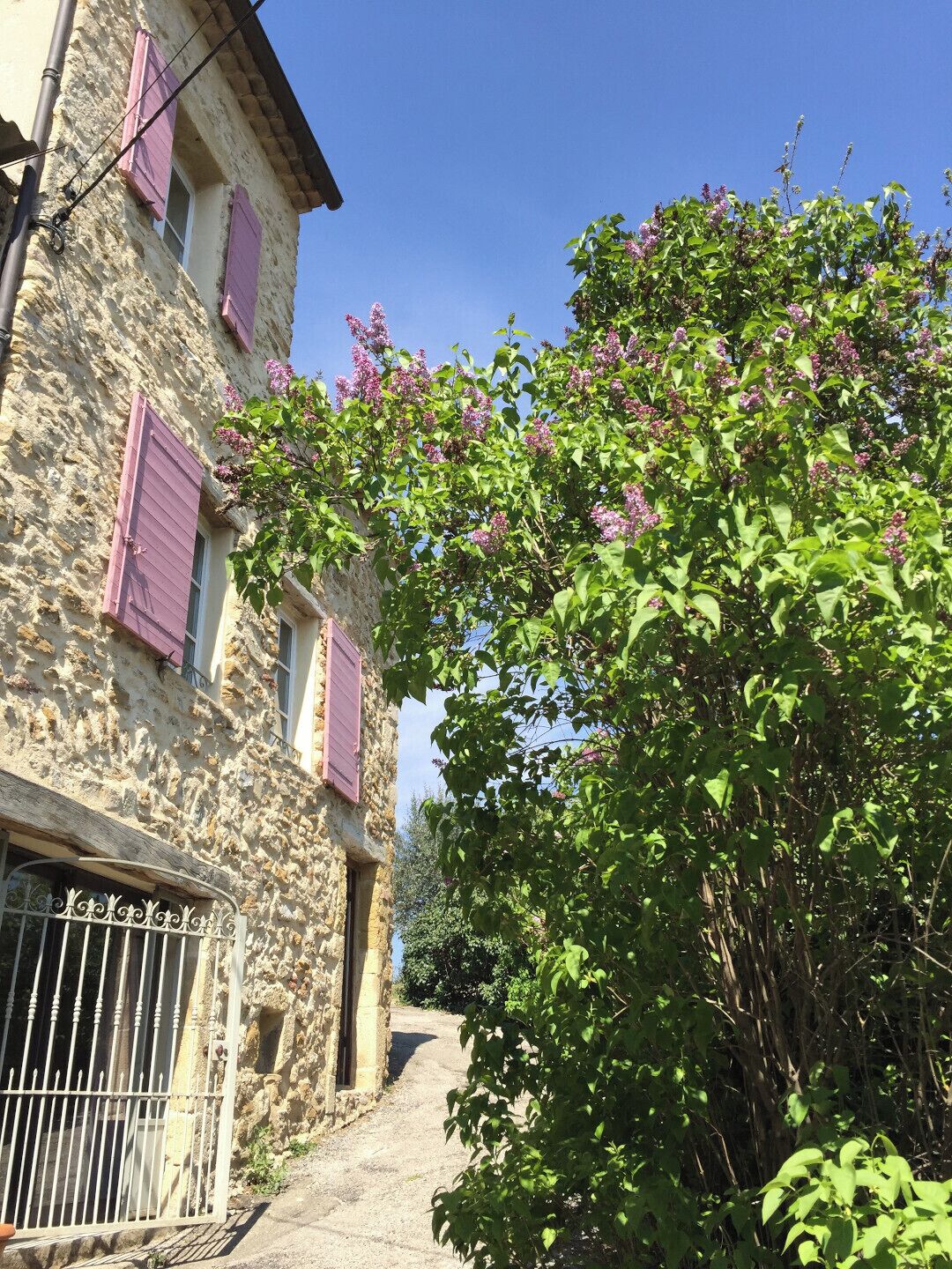 Un edificio de piedra con contraventanas rosadas, una reja metálica y un árbol de flores púrpuras.