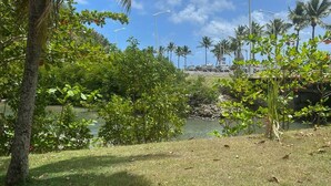 Un parc avec des palmiers, une étendue d’eau et un pont en arrière-plan.