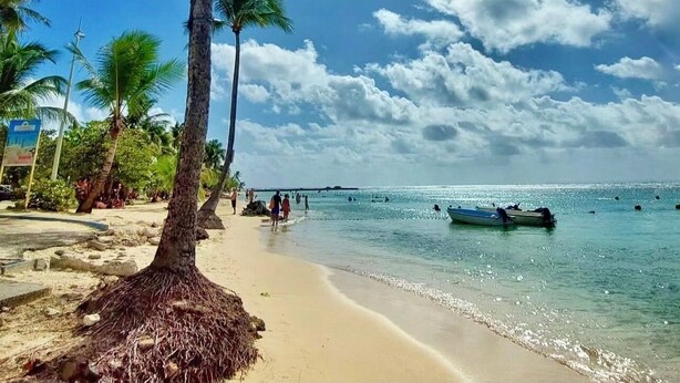 Une plage bordée de palmiers, un ciel dégagé et un bateau sur l’eau.