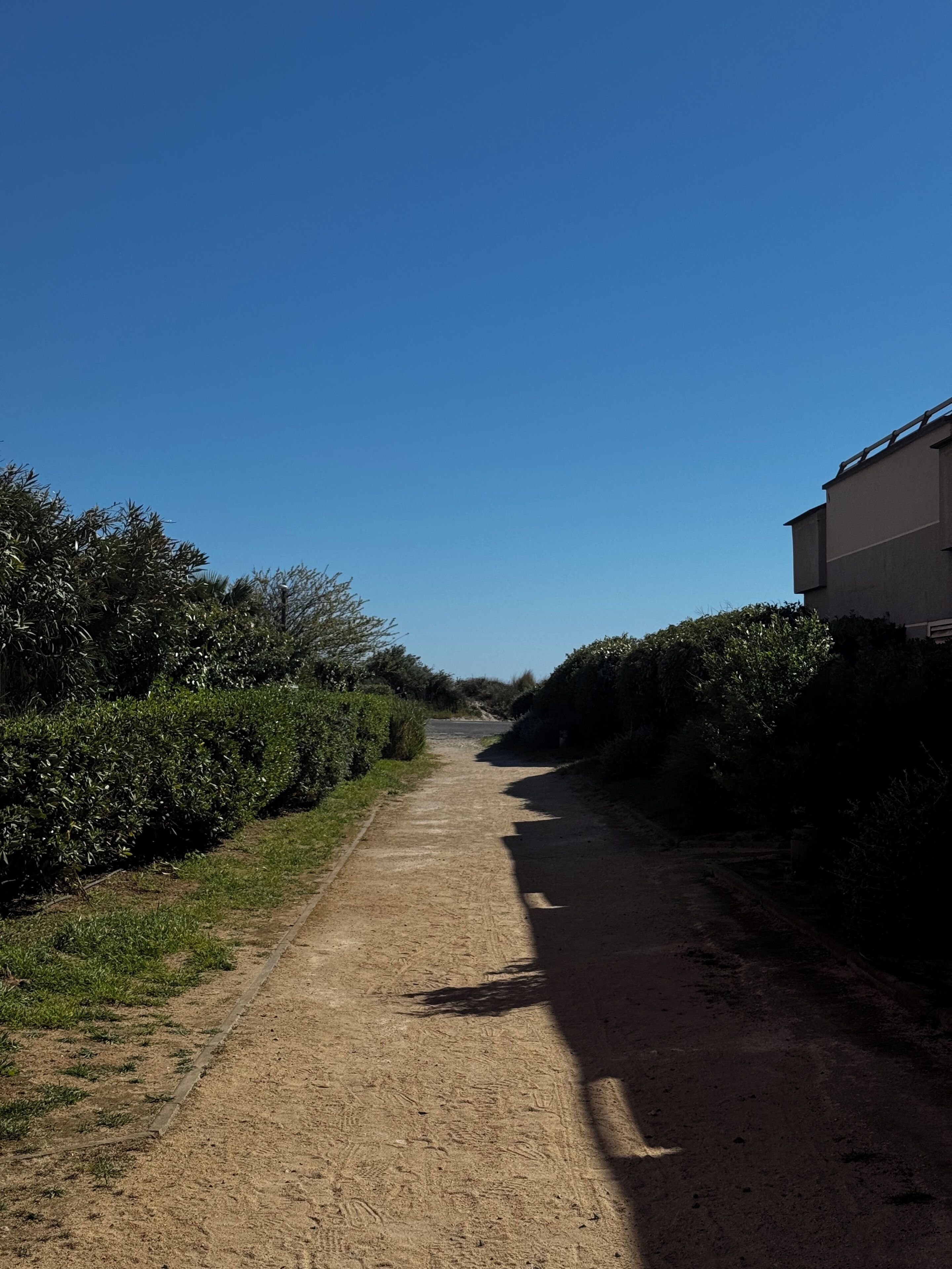 A rural dirt road flanked by dense vegetation and a building on the right.