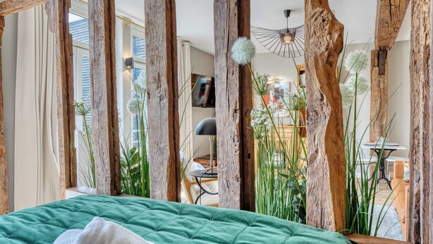 A room with a green bed, wooden beams, and indoor plants. - La Venelle Saint-Nicolas (Rouen)
