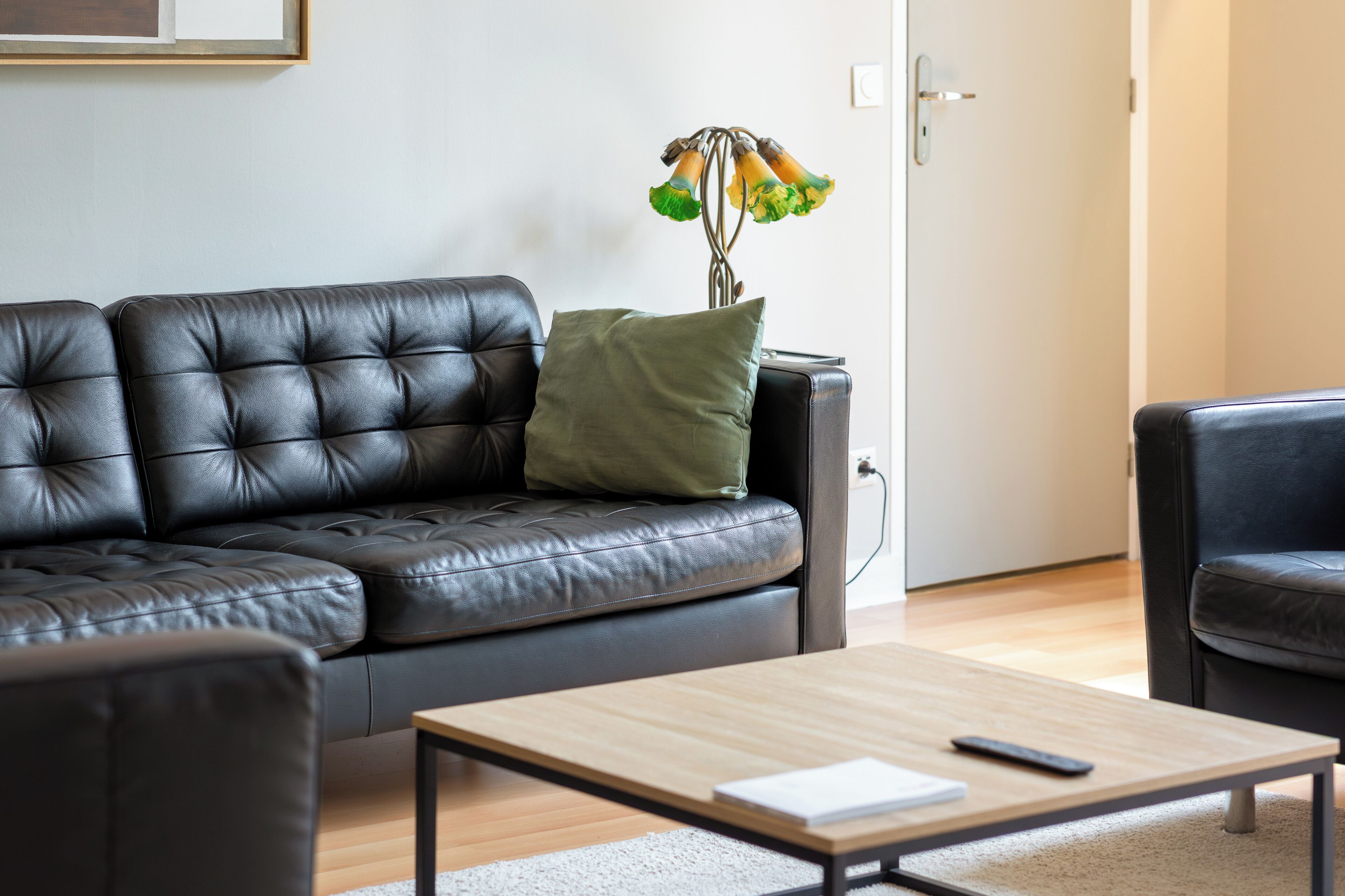 A modern living room with a leather sofa, a wooden coffee table, and a decorative plant.