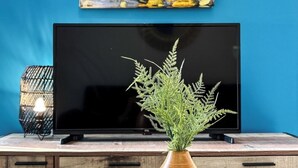 Ein modernes Wohnzimmer mit einem Flachbildfernseher, einer Holzeinrichtung, einer Vase mit Grünpflanzen und einem Gemälde an der Wand.