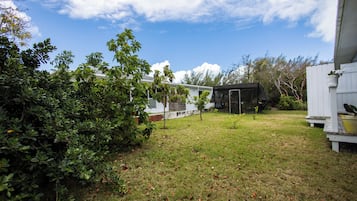 Un patio con césped, un árbol pequeño y un edificio blanco.