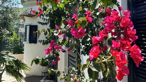 A building with a white facade, a black shuttered window, and a black lantern. - Do Padre - a relaxing vacation in the heart of Portugal - our "Lisbon Apartment" (Brogueira)