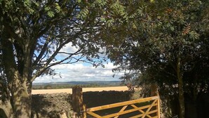 A stone wall, a wooden gate, and a view of a field. - Cosy Cottage Retreat. Log Burner. Courtyard & Starry Skies (Consett)