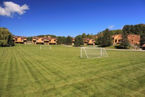 Sports court - Spacious 2 bdrm, 1 Bath Plus, 950 Sq Ft.  Many onsite amenities with Golf/Skiing near by! (Harbor Springs)