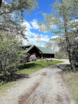A rustic lodge with a green roof, surrounded by lush greenery and a gravel path leading to the entrance.