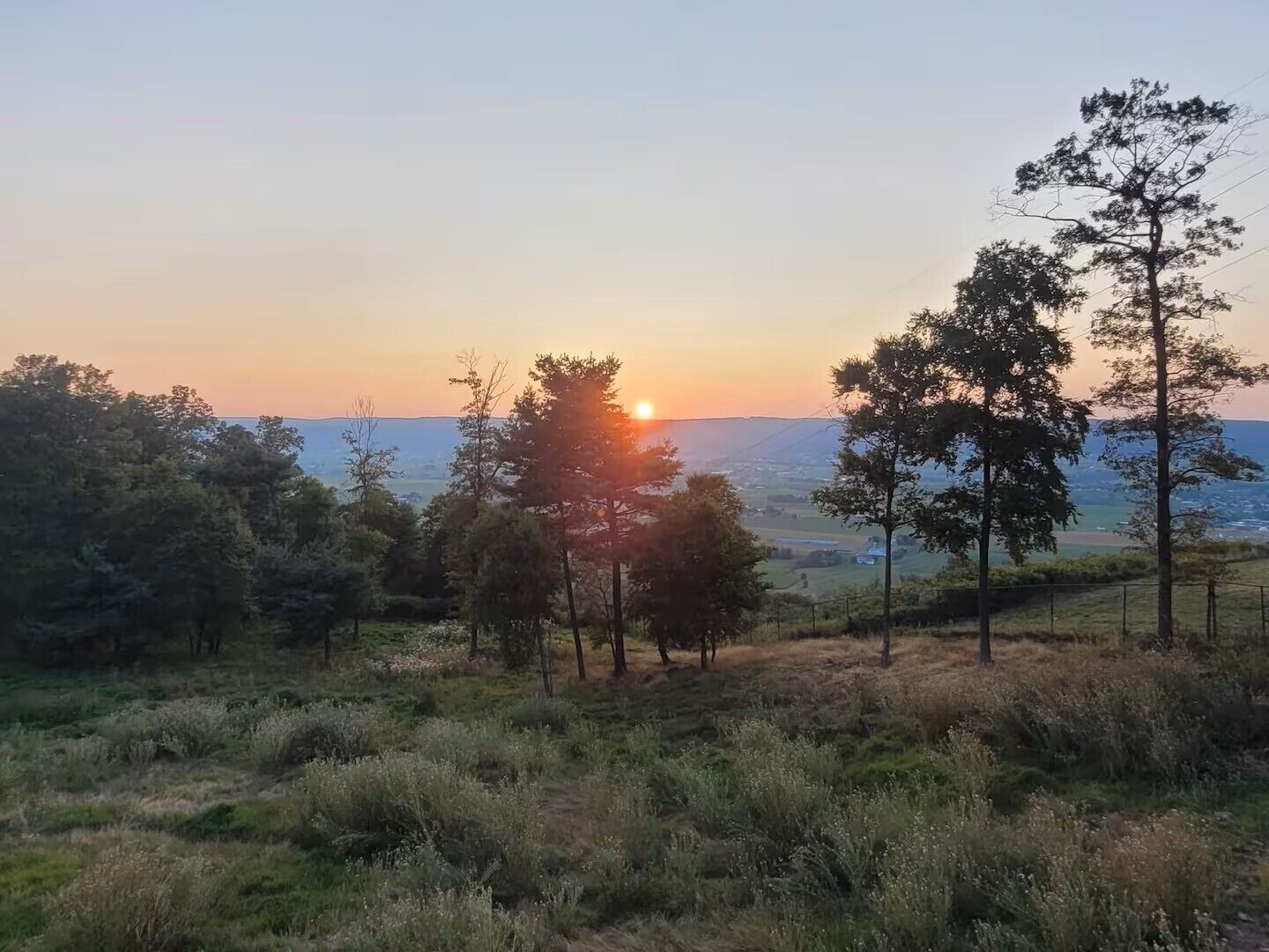 Paisagem com árvores e vista do horizonte.