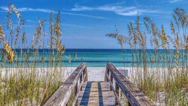 A wooden boardwalk leading to a beach with clear blue water and tall grasses.