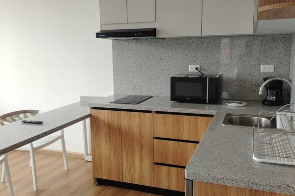 Classic Apartment, City View | Private kitchen | Mini-fridge, microwave